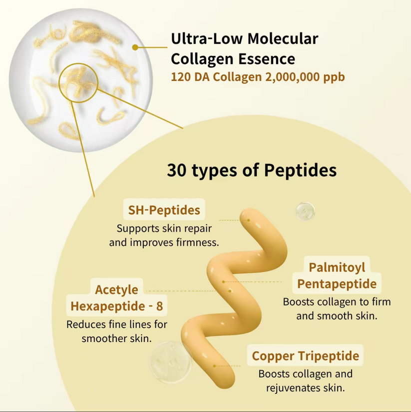 Korean Silk Lifting Peptide Ampoule